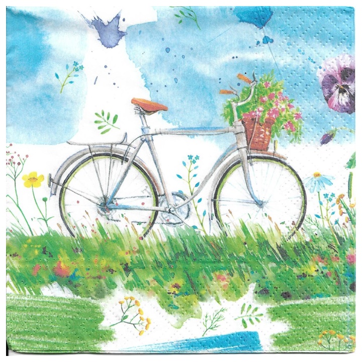 Serwetki do Decoupage Watercolour Bicycle - 1 szt
