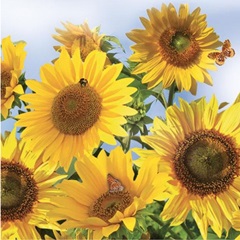 Serwetki do Decoupage - Sunflowers in the Sky / 1 szt