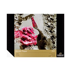 Blok plastyczny do farb akrylowych - Acrylic Paper Rembrandt / 10 arkuszy
