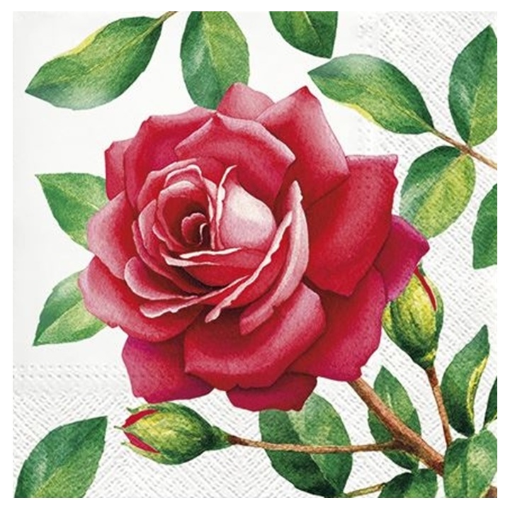 Artystyczne serwetki decoupage