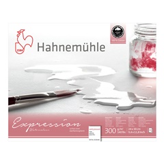 Papier do akwareli Hahnemühle Expression | Różne rozmiary