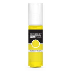 Pasta pigmentowa Wall Decor 20 ml | Różne odcienie