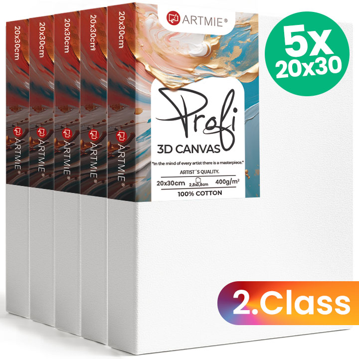 Zestaw płócien 3D ARTMIE (5 szt.) - 2. jakość - 20x30 cm